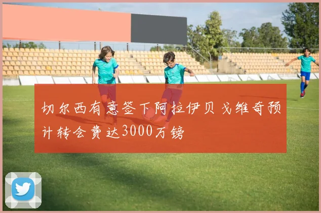 切尔西有意签下阿拉伊贝戈维奇预计转会费达3000万镑
